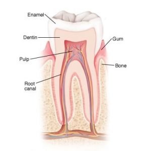 Best-root-canal-treatment-in-delhi