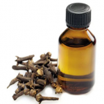 clove oil as obtundent in dental practice malviya nagar geetanjali dental options